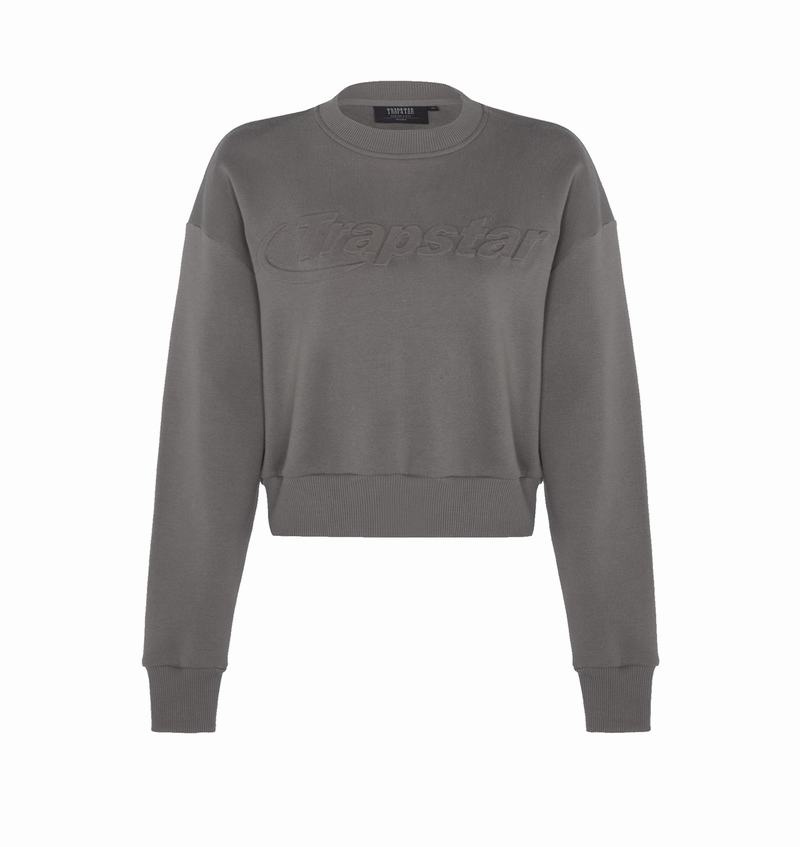 Bluza Trapstar Hyperdrive Crewneck Damskie Szare | Poland-182350