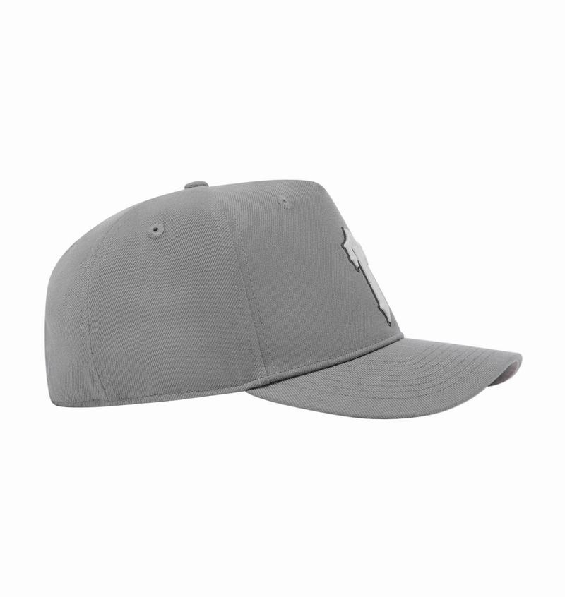 Czapki Trapstar Irongate T Summer Series Strapback Męskie Szare | Poland-971835